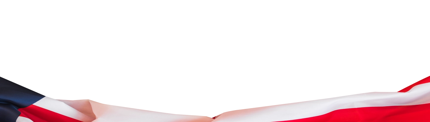 Decorative bottom image